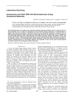 Inexpensive and safe DNA gel electrophoresis using household