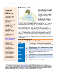 6. Nipigon and Jackpine Nipigon and Jackpine Regional Plan