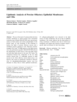 Lipidomic Analysis of Porcine Olfactory Epithelial Membranes and