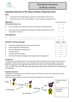 Holly Leaf Miner Handout