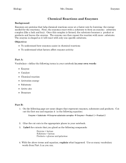 Chemical Reactions and Enzymes