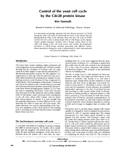 Control of the yeast cell cycle by the Cdc28 protein kinase Kim