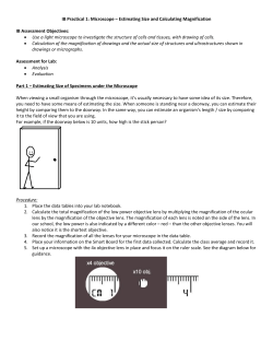 IB Practical 1: Microscope &ndash; Estimating Size and Calculating