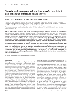 Somatic and embryonic cell nucleus transfer into intact and