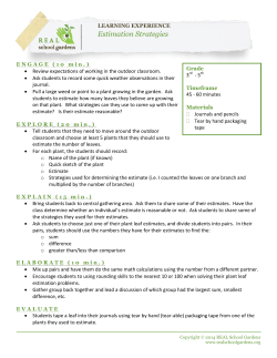 Estimation Strategies