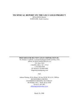 Technical Report on the Lely Gold Project