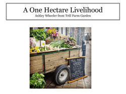 Ashley Wheeler (Trill Farm): A one hectare livelihood