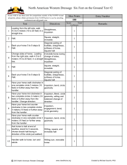 North American Western Dressage Six Feet on the Ground Test #2