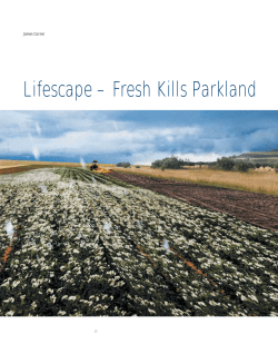 Lifescape &ndash; Fresh Kills Parkland