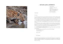 Never a Dull Moment - Savanna Private Game Reserve