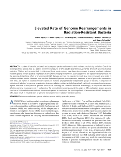Elevated Rate of Genome Rearrangements in Radiation