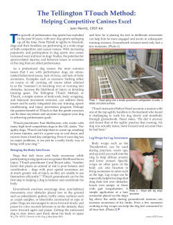 The Tellington TTouch Method