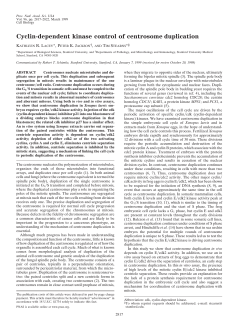 Cyclin-dependent kinase control of centrosome duplication