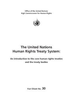 The United Nations Human Rights Treaty System