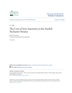 The Cost of Arm Autotomy in the Starfish Stichaster