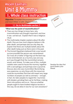 Unit 8 Mummy - Curriculum Visions