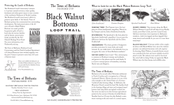 Black Walnut Bottoms