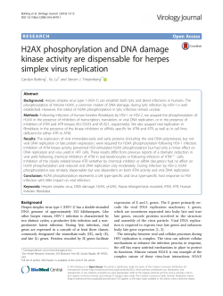 H2AX phosphorylation and DNA damage kinase