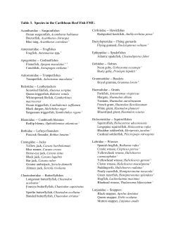 Table 3. Species in the Caribbean Reef Fish FMU.