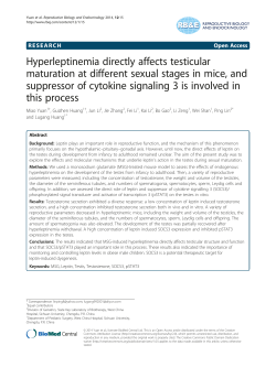 Hyperleptinemia directly affects testicular maturation at different