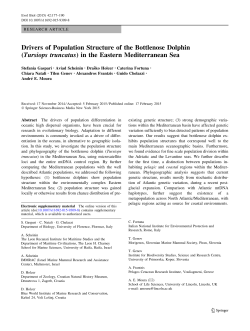 Drivers of Population Structure of the Bottlenose Dolphin