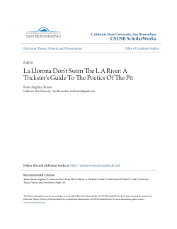 La Llorona Don`t Swim The LA River
