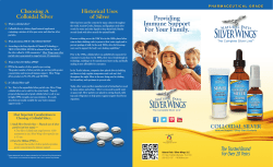 Front Panel Back Panel - Natural Path Silver Wings