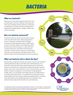 bacteria - Alliance for the Chesapeake Bay