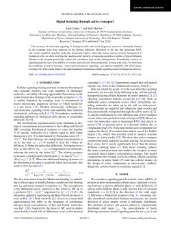 Signal focusing through active transport