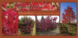 October Postcard