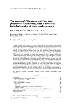 The status of Pliocercus and Urotheca (Serpentes: Colubridae), with