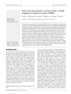 Role of the Escherichia coli Hfq protein in GcvB regulation of oppA