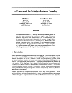 A Framework for Multiple-Instance Learning