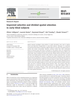 Improved selective and divided spatial attention in early blind subjects