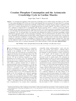 Creatine Phosphate Consumption and the Actomyosin