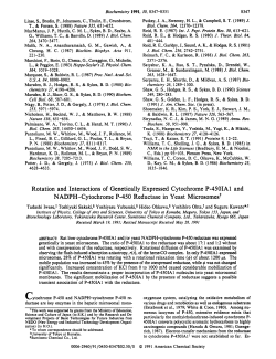 Rotation and Interactions of Genetically Expressed Cytochrome P