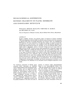 physicochemical differences between fragments of