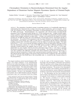 Chromophore Orientation in Bacteriorhodopsin Determined from the