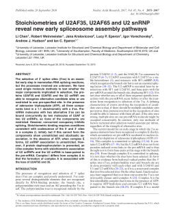 Stoichiometries of U2AF35, U2AF65 and U2 snRNP reveal new
