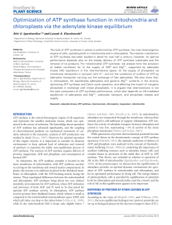 Optimization of ATP synthase function in mitochondria and