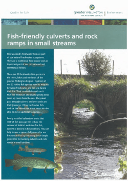 Fish-friendly culverts and rock ramps in small streams