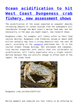 Ocean acidification to hit West Coast Dungeness crab fishery, new