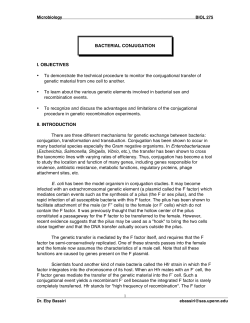 Bacterial Conjugation - University of Pennsylvania