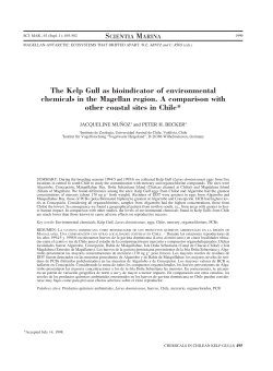 The Kelp Gull as bioindicator of environmental chemicals in the