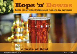 Hops n Downs - Produced in Kent