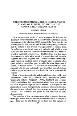 THE CHROMOSOME-NUMBER IN CANCER TISSUE OF MAN, OF