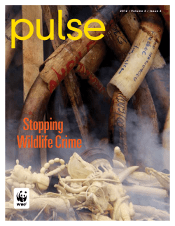 Stopping Wildlife Crime