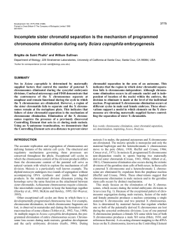 Incomplete sister chromatid separation is the mechanism of