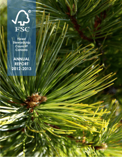 ANNUAL REPORT 2012-2013