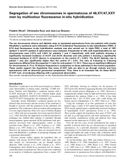 Segregation of sex chromosomes in spermatozoa of 46,XY/47,XXY